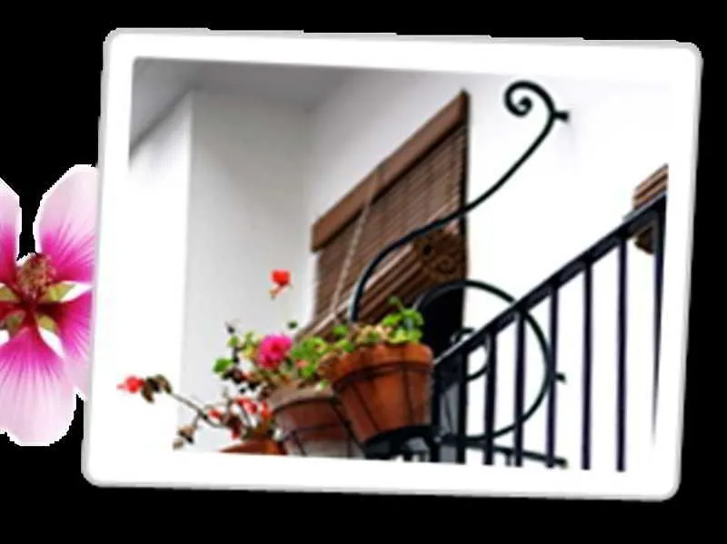 Guest house Hostal Paco Marbella